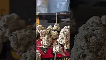 Professor T Video Thumbnail