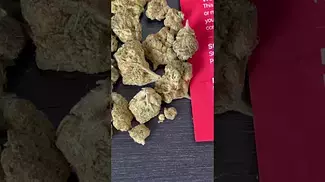 4C LABS TRG 26/1 Tropicana Gold Medical Cannabis Flower