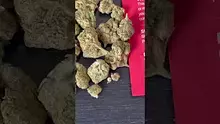 CheeseMon4 Video Thumbnail
