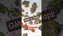 UKTHC Video Thumbnail