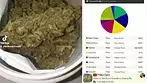 Adven® Cura-9 T17-19 Glory Sum Cookies Medical Cannabis - UK REVIEW