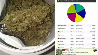 Adven® Cura-9 T17-19 Glory Sum Cookies Medical Cannabis - UK REVIEW
