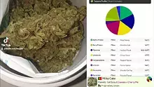 3 Seconds Ago Video Thumbnail