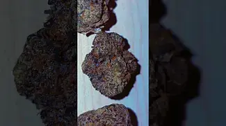 Acai Berry #weedchannel #420 #cannabiscommunity #medicalcannabis #medicalweed #highlife #stonerfam