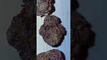 Big Bud Reviews Video Thumbnail