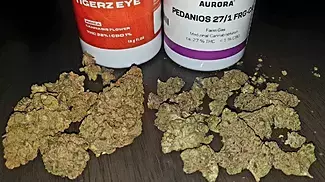Tigerz eye's and Farm gas review UK medical cannabis Review