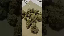 ERB B4S Video Thumbnail