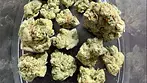 BC GREEN T27 Apples & Gas REVIEW
