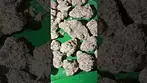 AAAA fruit loops & fuel uk medical #uk #medical #patient #youtubeshorts #flowers