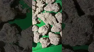 AAAA fruit loops & fuel uk medical #uk #medical #patient #youtubeshorts #flowers