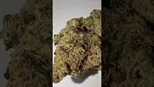 Medi Blaze Video Thumbnail