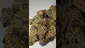 Video Thumbnail: Medi Blaze