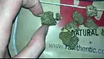 BIG NARSTIE MEDICAL | CARBON FIBRE | UK MEDICAL CANNABIS PATIENT FLOWER REVIEW 2025
