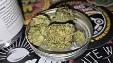 Keep Blazing Stay Amazing Video Thumbnail