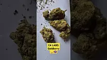 ScottiDunCanna Video Thumbnail