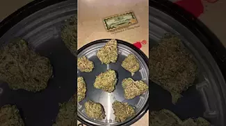  BIG NARSTIE MEDICAL | CARBON FIBRE | UK MEDICAL CANNABIS PATIENT FLOWER VIDEO