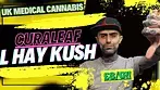 Checking Out Curaleaf LA Kush | UK Medical Cannabis