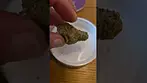 Sundaze Purple Punch  Beautful all round strain