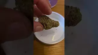 Sundaze Purple Punch  Beautful all round strain
