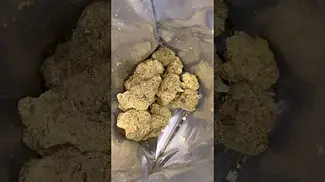 Next|Friday|Mutant|Tyre|Fire|30/1 GMO Cookies X Sherb Crasher