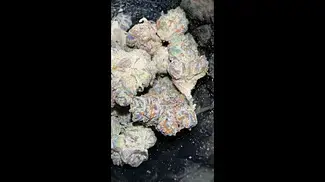 UPSTATE ALPHA CROSSBOW STRAIN #medicalcannabis #cannabisdaily #cannabisreviews #cannabismedicinal