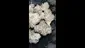 Video Thumbnail: Adz Canna