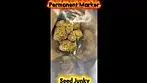 Permanent Marker medical cannabis by Seed Junky 25% thc. Now this is stinky! #medicalcannabis 