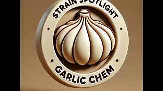 Strain Spotlight: Garlic Chem (Sumo)  | Effects, Terpenes & Medical Benefits