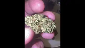 J r strain Zkittles og # #ukmedicalcannabis