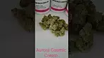 Aurora Cosmic Cream