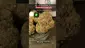 Video Thumbnail: CannaTEE