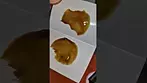 Morning Sun DAB TEST | 31% | 9/g | Decibel, Qwest, 4C Labs & Xeal Pharma