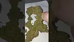 Herdade Das Barrocas - Tigarz Eye (UK Medical Cannabis Prescription)