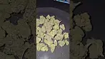 Big Narstie Medical Gelatti UK Medical Flower First Impressions