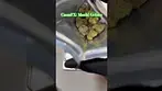 CannFX: Mochi Gelato (Pack opening & Weigh)