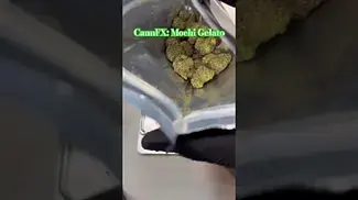CannFX: Mochi Gelato (Pack opening & Weigh)