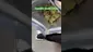 Video Thumbnail: Review Budd