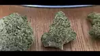 Atomic Sour Grapefruit Medical Cannabis 30%.