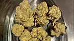 4c Labs T24 Khalifa Mints KRFT REVIEW