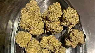 4c Labs T24 Khalifa Mints KRFT REVIEW
