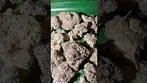Big Narstie medical Gelatti  #uk #medical #patient #youtubeshorts #flowers