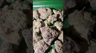 Big Narstie medical Gelatti  #uk #medical #patient #youtubeshorts #flowers