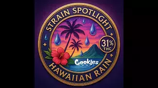 Strain Spotlight    Cookies - Hawaiian Rain (31% THC)  – Medical Flower Review 