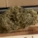 Flower Photo of Packagers, Manufacturers & Formulators KMI T28 Kush Mints