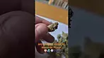 Big Narstie Medical - Moroccan Peaches (UK Medical Cannabis Prescription)