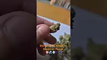 ScottiDunCanna Video Thumbnail