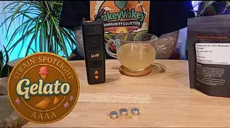 AAAA Gelato  Creamy Vibes & Creative Times  UK Med Round-Up
