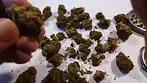 MEDICAL CANNABIS UK.. FIRST DELIVERY,FIRST VIDEO!