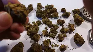 MEDICAL CANNABIS UK.. FIRST DELIVERY,FIRST VIDEO!