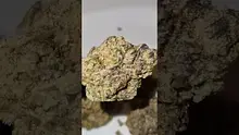 2cavjav Video Thumbnail